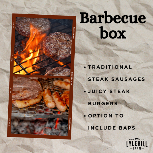 Barbecue Box Regular